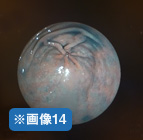 画像14