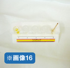画像16